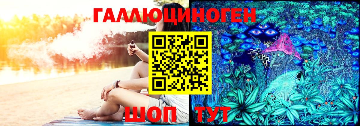 Галлюциногенные грибы Psilocybine cubensis Юрга