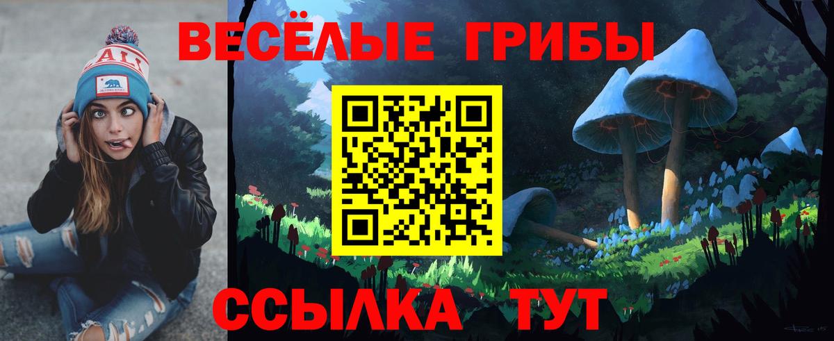 Галлюциногенные грибы GOLDEN TEACHER  Вход с VPN  Юрга  Галлюциногенные грибы MAGIC MUSHROOMS 